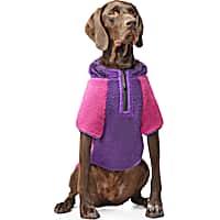 Canada Pooch Cool Factor Dog Hoodie Pink and Purple