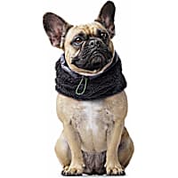 Canada Pooch Cool Factor Snood Black and Grey for Dogs