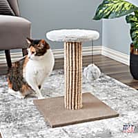 Sea 2 Sea Bellville Cat Tree