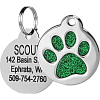  FRCOLOR 3pcs Dog Buckle Cat Necklace Custom Dog Tags
