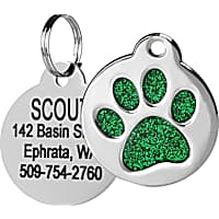 Personalized Cat ID Tags Cat Name Tags Petco