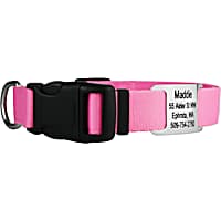 GoTags Personalized Pink Adjustable Dog Collar with Custom Engraved Stainless Steel Slide ID Tag