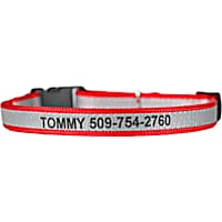 Zen collar petco online