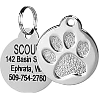 Pet Cat 1/2/3/5/6pcs 7colors Dog Tag Paw Collar Necklace Id Name Engraved  Key Ring Chain Rhinestone Metal