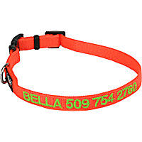 GoTags Personalized Orange Dog Collar with Custom Embroidery