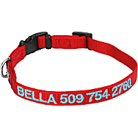 GoTags Personalized Red Dog Collar with Custom Embroidery