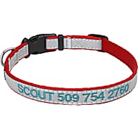 GoTags Reflective Personalized Red Dog Collar with Custom Embroidery
