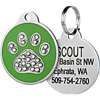 Personalized Dog Tags Pet Dog Collar Accessories Petco
