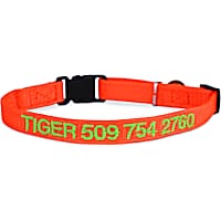 GoTags Personalized Orange Adjustable Cat Collar with Bell and Breakaway Safety Release Buckle
