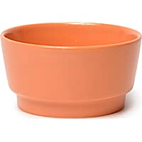 Waggo Rust Gloss Ceramic Dog Bowl