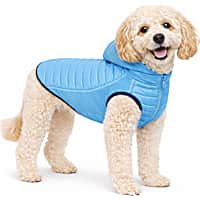 Pet Life Blue 'Apex' Lightweight Hybrid 4-Season Stretch and Quick-Dry Dog Coat with Pop Out Hood