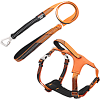 Pet Life 'Geo-prene' 2-in-1 Shock Absorbing Neoprene Padded Reflective Dog Leash and Harness