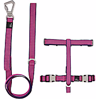 Pet Life 'Escapade' Outdoor Series 2-in-1 Convertible Dog Leash and Harness