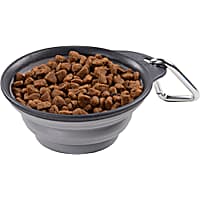 Dexas Light Gray Collapsible Travel Cup for Dogs