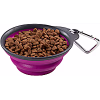 Dexas Fuchsia Collapsible Travel Cup for Dogs
