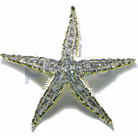 Sand Sifting Sea Star