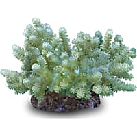 Aquacultured Nano Green Kenya Tree
