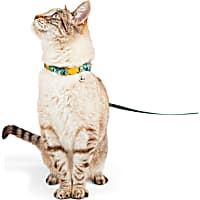 YOULY Palm Cat Collar, Harness, and Lead Set