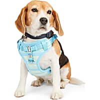 BOBS from Skechers Blue & Green Colorblocked Step In Dog Harness