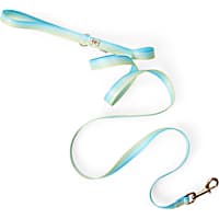 BOBS from Skechers Blue & Green Colorblocked Dog Leash