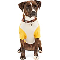 Reddy Yellow/Grey Colorblock Dog Tee