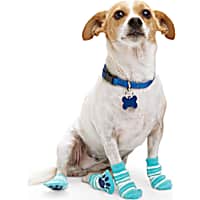YOULY Gator Dog Sock Pack