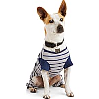 YOULY Shark Dog Pajama