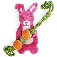 YOULY Easter Large Dog Toy