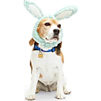 YOULY Blue Easter Bunny Dog Hat