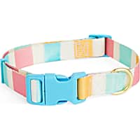 YOULY Easter Stripe Dog Collar