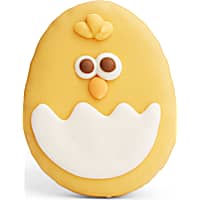 YOULY Spring Chick Easter Dog Cookie