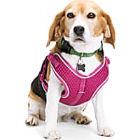 EveryYay Pink Reflective Trim Dog Harness
