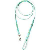 YOULY Small Dog Pineapple Dog Leash