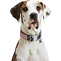 YOULY American Flag Big Dog Collar