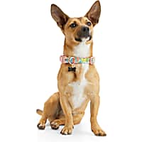 YOULY Pink Daisy Dog Collar