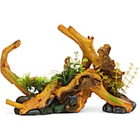 Imagitarium Driftwood with Plants