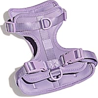 Wild One Lilac Dog Harness