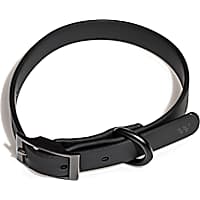 Wild One Black Dog Collar