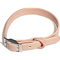 Wild One Blush Dog Collar