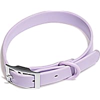 Wild One Lilac Dog Collar