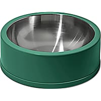 Wild One Spruce Stainless Steel Dog Bowl