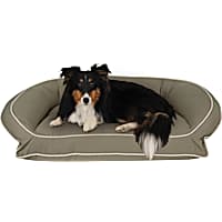 Carolina Pet Company Sage Classic Canvas Bolster Lounger Dog Bed
