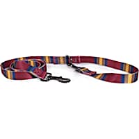 Pendleton Zion National Park Adventure Dog Leash 3/4" W