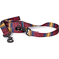 Pendleton Zion National Park Adventure Dog Leash 1" W