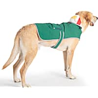 Pendleton Green Dog Rain Coat