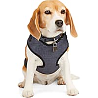 EveryYay Black Heather Pullover Dog Harness