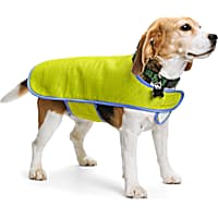 YOULY Yellow Cooling Dog Vest