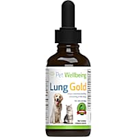 Dog Cold Kennel Cough Treatments Petco