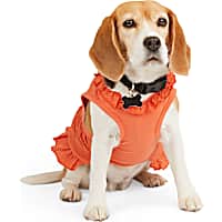 YOULY Red Eyelet Knit Dog Tank