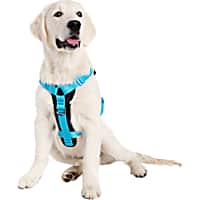 Pet Krewe Sesame Street Chalkboard Essentials Pet Harness